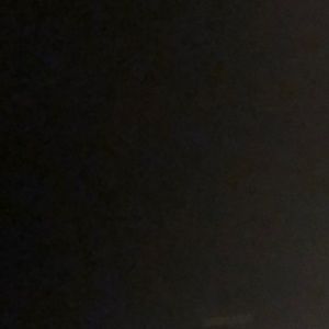 Meet your Posher, Harrison